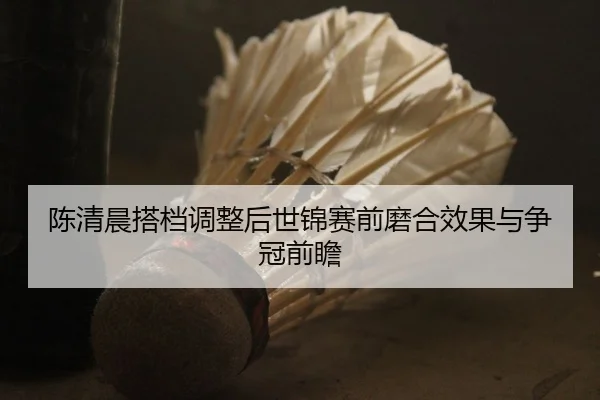 陈清晨搭档调整后世锦赛前磨合效果与争冠前瞻
