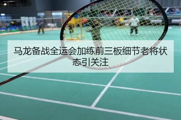 马龙备战全运会加练前三板细节老将状态引关注