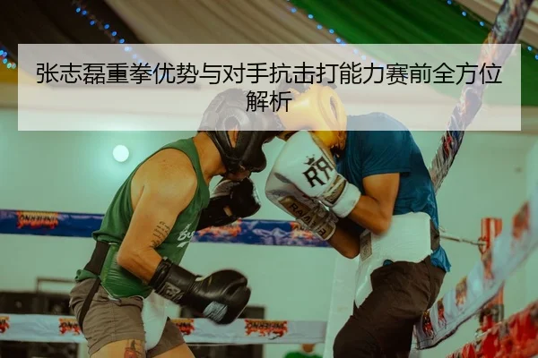 张志磊重拳优势与对手抗击打能力赛前全方位解析